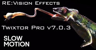 RE:Vision Effects Twixtor Pro v7.0.3