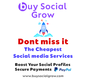 Buy Cheap Social Media Services with PayPal