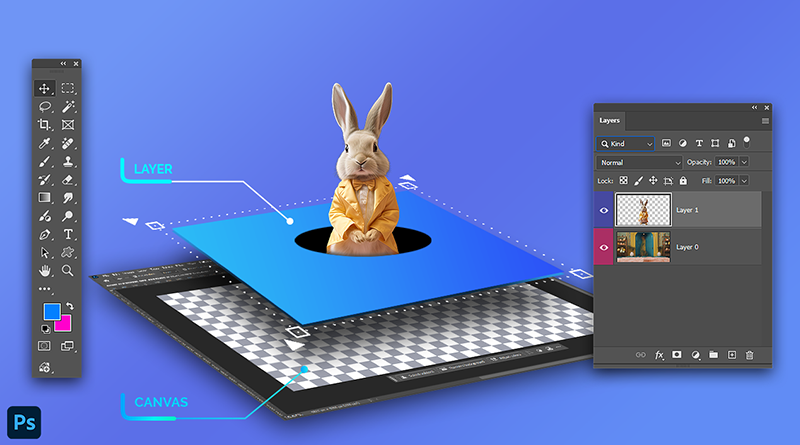 How to resize the layer in Photoshop